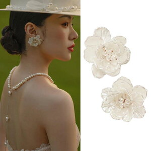 sAX CO lbNX uC_ ANZT[Zbg p[ t[fUC obN`F[ Ԃ ؍  p[eB[ GKg _ tF~j