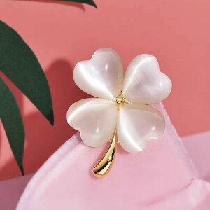 u[` Ǝ w C obN ltN[o[  fB[X I WPbg RT[W ANZT[ Z[^[ Rh~ z obNs CXg[ 