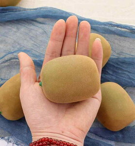 Hi Tv A { Be  fBXvC i tFCN ͋[ LEC t[c ʕ u₩ tbV