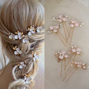 wAANZT[ t[ `[t wAtH[N AJ X^C Vv wAs ʐ^Be CNAbv uC_ EFfBO wAANZ AW fB[X t@bV