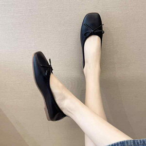 pvX ₷ fB[X p wlp C V[Y pvX  킢  tbg { oGV[Y