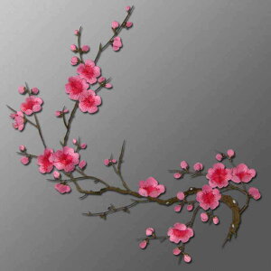 AbvP ߑ hJ  ANZT[ 3F ~̉ `[t by zpb` XebJ[ S ACڒ\ | nhCh CN C fUC