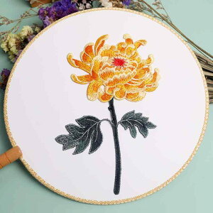 AbvP e ԃfUC hJ zpb` `Ci ߗޑ ANZT[ C Jo[ DKv by `[t | nhCh CN GXjbN ANZg t@ubN