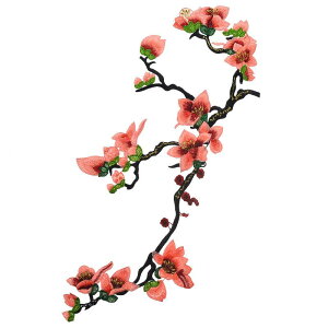 AbvP n ؘ@̉ԃ`[t hJ zpb` GXjbN ANZT[ `Ci hXAbv DKv | CN GKg ApC AWA