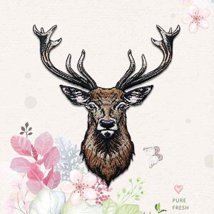 AbvP obW zpb` hJ giJC A t@bV ACڒ\ ANZT[ ANZg `[t  | nhCh diyf obO C yA Jo[