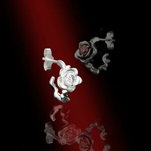 sAX Xg[g o NX^ KN`[t S925 Vo[    GKg  j[N i AJ ؂₩ Mtg v[g