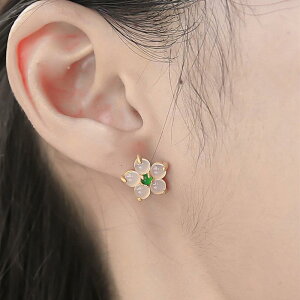 sAX fB[X Ő  GXjbN  `Ci ` t@bV ANZT[ i g