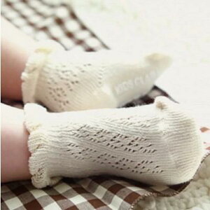 xr[ \bNX ؍ n jp Ԃ z ~ J[oG[V I[Rbg C