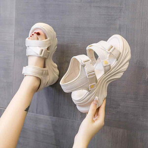 fB[X X|[c T_   EFbW q[ C r[` V[Y I[vgD q[ gAbv X^CQ