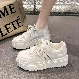 fB[X  tbg\[ zCg C  ؍X^C ʋCQ JWA Xj[J[ Vv RC X|[eB[ 킢 w