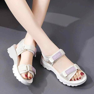 fB[X T}[ T_ ̎q wN t@bV Z  tbg X|[c r[` V[Y  I[vgD t@bVT_ 킢