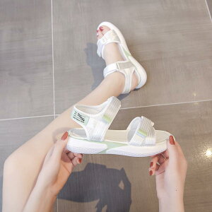 fB[X K[Y ̎q T_ w  tbg X|[c r[` V[Y AE^[ T_ [}V[Y 芴 ɂ 