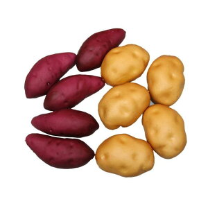 Hi Tv A { H ͋[ Tc}C W tFCN  z[ Lrlbg [  Ƌ Be 