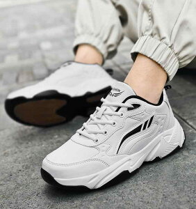 JWA V[Y  ^C TCY amC Y H w eB[GCW[ Y jO X|[c V[Y