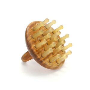 N ei  }bT[Wp i` z[ R[ Eіh~ Y fB[X ƒp    ی o R[