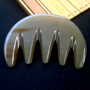 fB[X wA[PA N ei Np }bT[W R[ 5 qߐ z[R[  L   E   ی