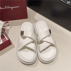 T_ Xbp  fB[X V[Y t@bV Vv JWA W[ ʋ ʊw fC[ }`V[ 