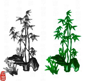 AbvP hJi | A `[t zpb` by XebJ[ n ڒܕsgp DKv | ٖD nhCh fR[V CN C ANZg t@ubN