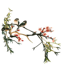 AbvP hJ zpb` by `[t Ԓ ڒ܂Ȃ D | ٖD nhCh  Jo[ CN fR[V t@bV A[g hXAbv