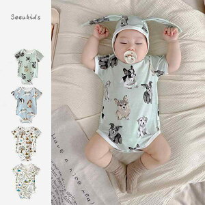 p[X WvX[c  t@bV Ԃpi xr[  k  Aj} vg  j̎q ̎q JWA 킢 Rbg