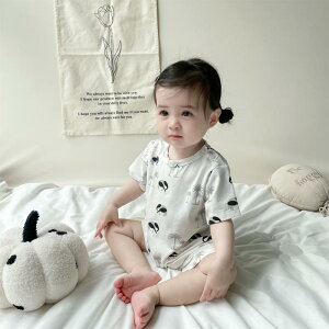 p[X xr[EFA Ԃ m    X^CbV JWAEFA jZbNX 킢 L[g RRibc vg