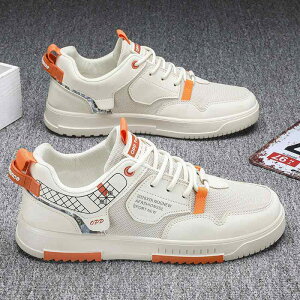 fB[X  bV 傫TCY C L zCg C JWA ʋC tbg V[Y  X|[cV[Y 킢