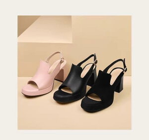 nCq[ GKg  JWA I[vgD tF~j T_ fB[X  V[vXL Vv g l킢