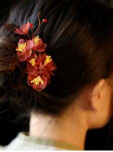 wAs     ~ wANbv TChNbv H~ Gߊ Cxg p[eB  a a_ g NVbN ڗ ^