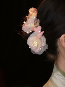 wAs wANbv sN       ֑} 傫 p[eB[ Cxg  ؂₩ ڗ ۓI }eBbN f