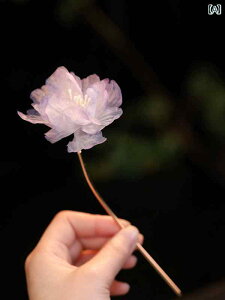 wAs    sN   \tg^b` _炩 AbvX^C cqwA LbY q ̎q Ղ Cxg   킢