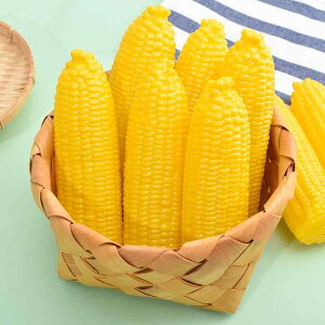 HiTv V~[V gERV vX`bN tFCN  A  q  ܂܂ fBXvC CeA fR[V _~[