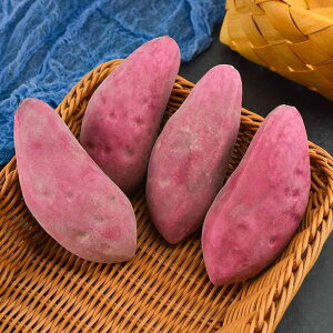 HiTv V~[V fBXvC CeA tFCN xW^u q  Tc}C   앨 i ʐ^Be  A H狳