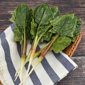 HiTv H狳 fBXvC V~[V i CeA ق vX`bN tFCN  O[ Lb` X[p[ }[Pbg ʐ^Be 