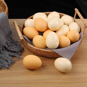 HiTv tFCN A[g c H狳 ߋ { fBXvC CeA V[[ Be vCnEX ct GACe DIYf k ͋[̌ n O[vV