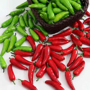 HiTv tFCN hq fBXvC V[[ CeA X[p[}[Pbg ͌^ ybp[ ACe ze ʐ^ v[e[V fUC {i