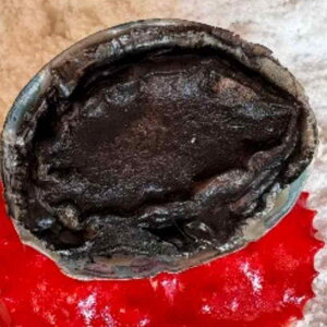 HiTv tFCNV[t[h Ar fBXvC CY WACe ubNS[h 傫 XgA hg Be Ƒ CuzM v[e[V