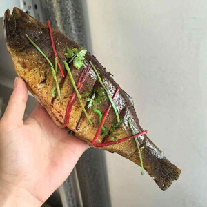 HiTv tFCNt[h ύ񂾃XYL vJ V~[V fBXvC ʐ^ V[[ Xg V[t[h f er  RNV