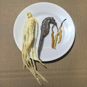 HiTv tFCN  Md  W{ vJ ^cmIgVS lQ ~đ Be Ȋw `ACe i V~[V