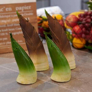 食品サンプル 子供 食育教材 タケノコ フェイクベジタブル 模型野菜 ディスプレイ シミュレーション PU 店舗演出 スーパーマーケット ショールーム キャビネット 写真小道具