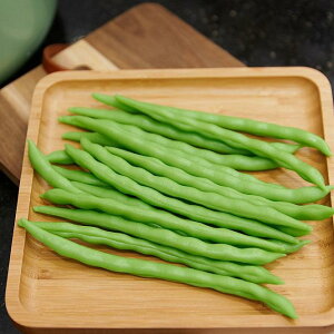 HiTv H狳 q fBXvC X܉o CeA f[ V~[V tFCN ͌^ CQ vX`bN V[P[X Be