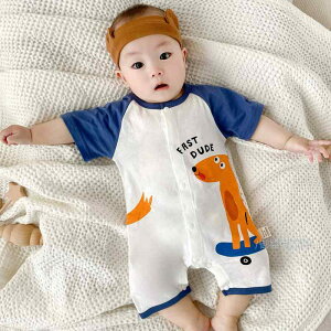 xr[EFA Ԃ t@bV j̎q V  p[X   q 킢 o OJ ȒPE K JWA fC[