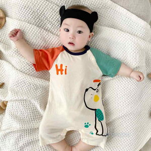 p[X xr[EFA V Ԃ t@bV     j̎q Rbg 킢 q AEghA o| fC[ ₷ _炩 Sn K