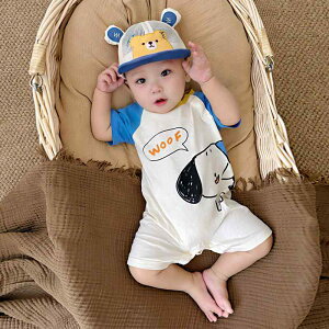 p[X xr[EFA Ԃ t@bV   j̎q  Rbg nCnC o JWA fC[ ȒPE ₷ Mtg