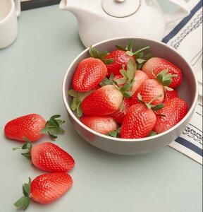 HiTv {  tFCN C`S t[c  vX`bN ʕ   Xg fR[V ʐ^ Be  킢  Xgx[