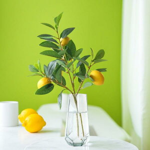 HiTv { tFCN EG ₩ X   t[c fXN   CeA t[AWg e[u fR[V