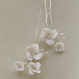 wAANZT[ fB[X Z~bN t[ p[ wAtH[N s Vv  y \