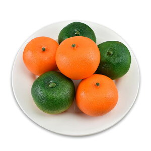 HiTv { ݂ IW t[c ʕ vX`bN j[N A  CeA fR[V tFCN  qp  