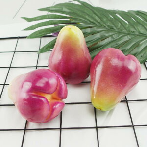 HiTv { t[c  fBXvC  qǂ   CeA tFCN j[N A  fR[V