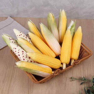 PU gERV  CeA Lrlbg HiTv { fBXvC i A  AWg X X   