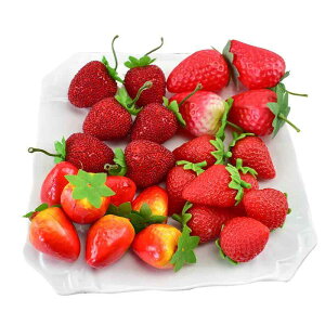 HiTv { C`S x[ ʕ t[c vX`bN tFCN vJ   JtF CeA qǂ   